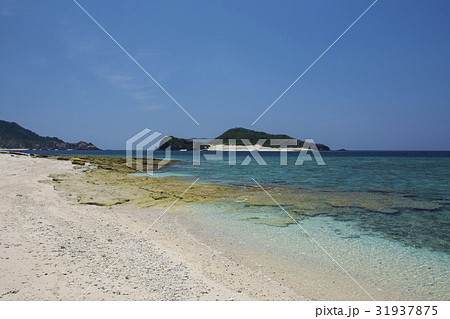 安慶名敷島 安慶名敷島 31937875