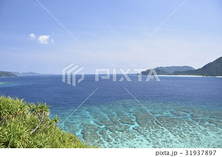 安慶名敷島 安慶名敷島 31937897