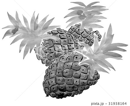 果物 イラスト パイナップル 水墨画のイラスト素材