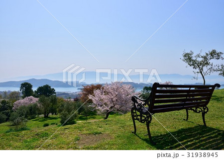 牛窓オリーブ園 山頂広場（岡山県瀬戸内市） 31938945