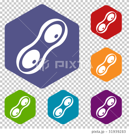 Peanut pods icons set hexagon Peanut pods icons set hexagon 31939283