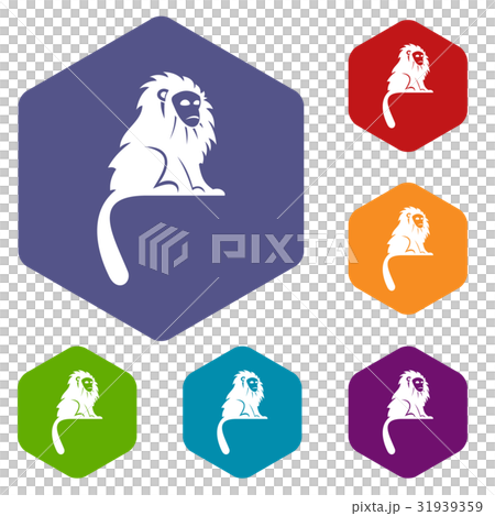 Hairy monkey icons set hexagon Hairy monkey icons set hexagon 31939359