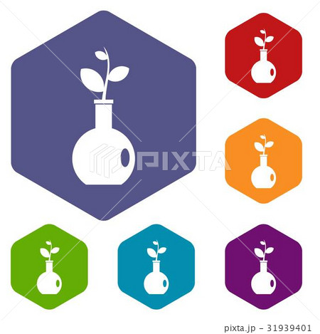 Plant in a vase icons set hexagon 31939401