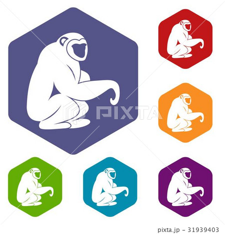 Monkey sitting icons set hexagon Monkey sitting icons set hexagon 31939403