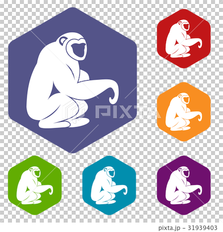 Monkey sitting icons set hexagon Monkey sitting icons set hexagon 31939403
