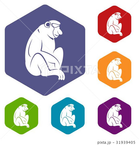 Orangutan icons set hexagon 31939405