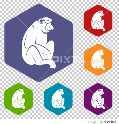 Orangutan icons set hexagon 31939405