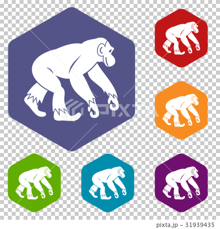 Monkey standing icons set hexagon Monkey standing icons set hexagon 31939435