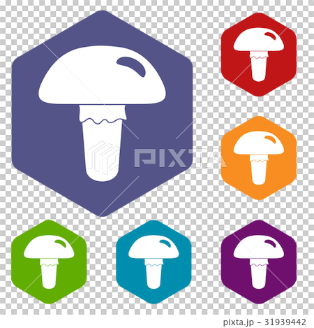 Poisonous mushroom icons set hexagon Poisonous mushroom icons set hexagon 31939442