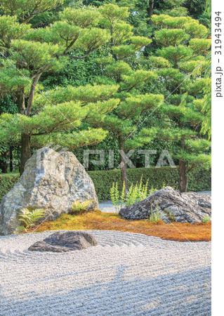 京都・妙心寺退蔵院の庭園 京都・妙心寺退蔵院の庭園 31943494