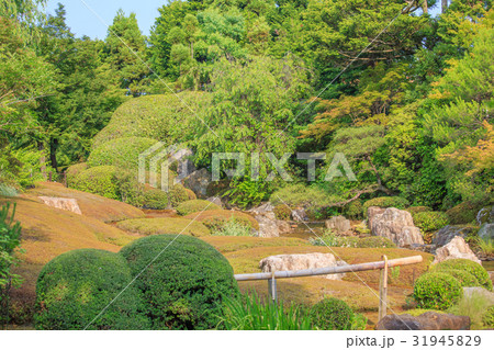 京都・妙心寺退蔵院の庭園 京都・妙心寺退蔵院の庭園 31945829