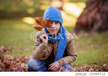 Portrait of boy holding autumn leaf 31946712