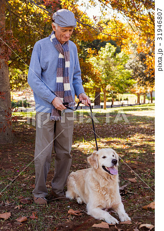 Elderly man keeping his dog on a lead Elderly man keeping his dog on a lead 31946807