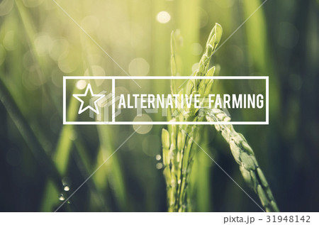 Alternative Farming Sustainable Nature Concept 31948142