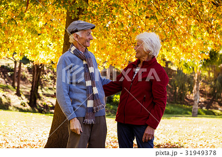 Senior couple embracing 31949378