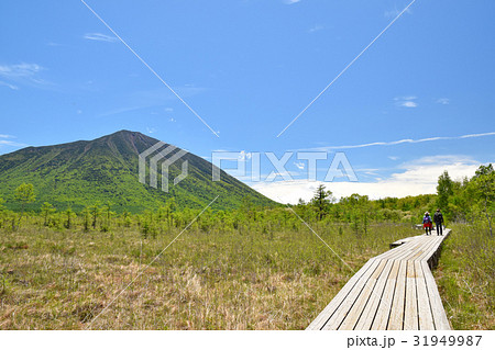 新緑の戦場ヶ原 新緑の戦場ヶ原 31949987