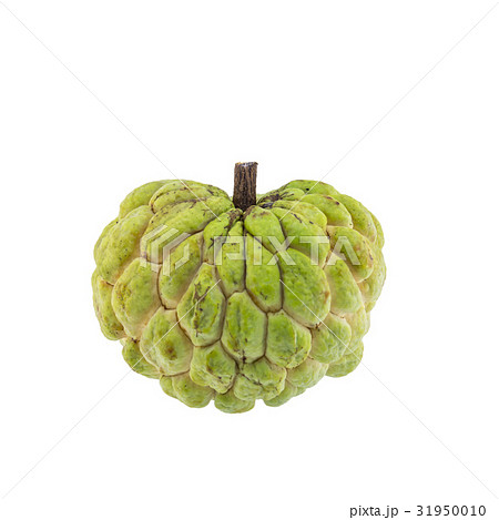 custard apple isolated on white background. 31950010