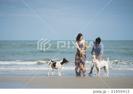 A young couple is walking and playing with dogs on the beach. A young couple is walking and playing with dogs on the beach. 31950415