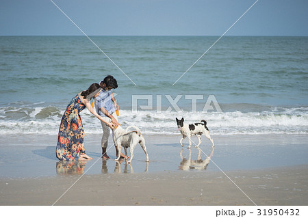 A photo of a couple touching dogs on the beach. A photo of a couple touching dogs on the beach. 31950432