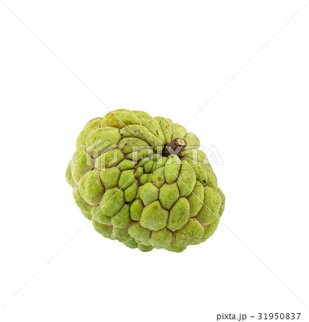 custard apple isolated on white background. custard apple isolated on white background. 31950837