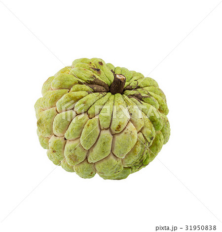 custard apple isolated on white background. custard apple isolated on white background. 31950838