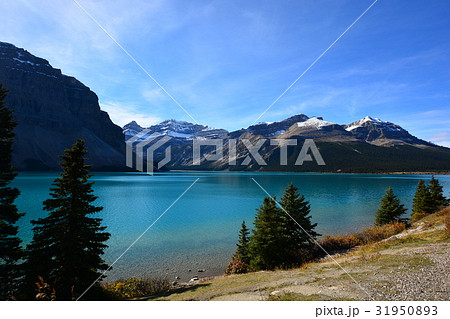 表情を変えるボウレイク  〜午後〜 31950893