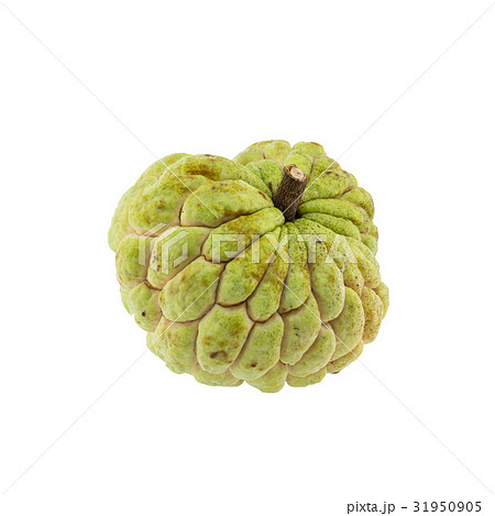 custard apple isolated on white background. custard apple isolated on white background. 31950905