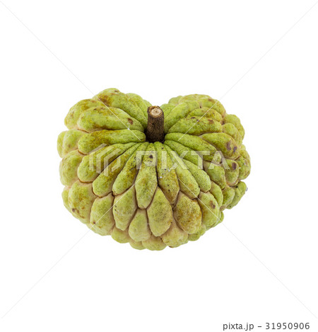 custard apple isolated on white background. custard apple isolated on white background. 31950906