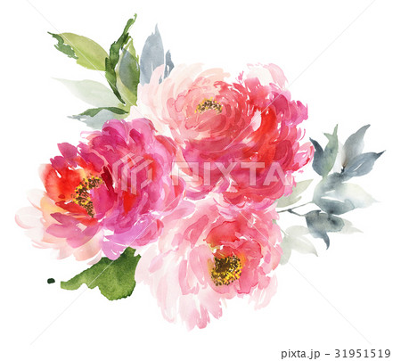 Flowers watercolor illustration Flowers watercolor illustration 31951519