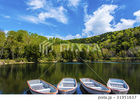 志賀高原木戸池 31951637