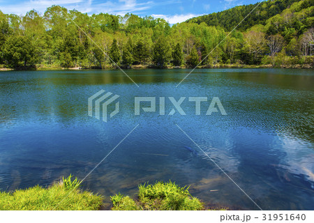 志賀高原木戸池 31951640