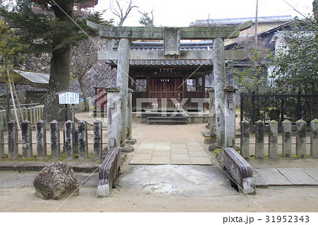 荒胡子神社（宮島） 31952343