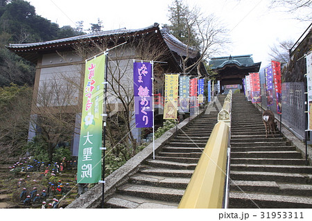 宮島 大本山大聖院にて（御成門と鹿） 31953311