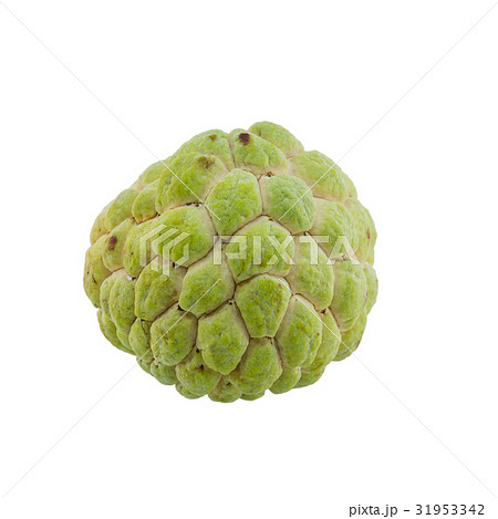 custard apple isolated on white background. custard apple isolated on white background. 31953342