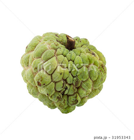 custard apple isolated on white background. custard apple isolated on white background. 31953343