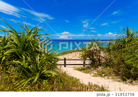 土盛海岸 31953756