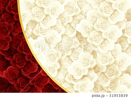 背景素材 敷き詰めたバラ 赤と白 のイラスト素材