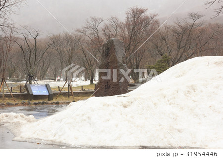 Winter snow Jeju Island South Korea Winter snow Jeju Island South Korea 31954446