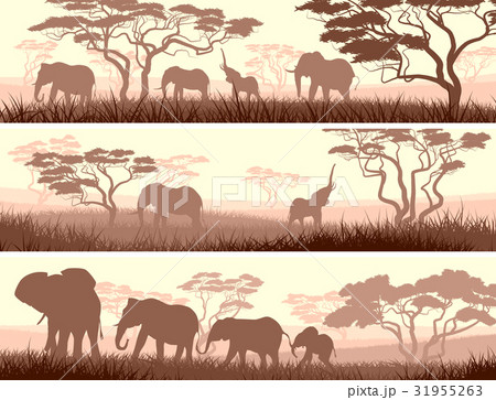 Banners of wild animals in African savanna. 31955263