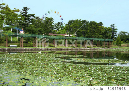 岡崎市南公園 31955948