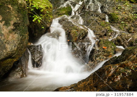 Waterfall in the forest phuket Thailand. Waterfall in the forest phuket Thailand. 31957884