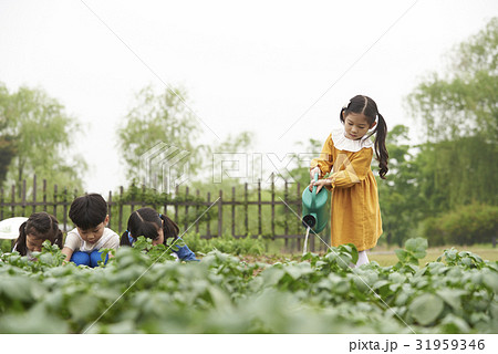 スプリンクラー じょうろ 子供同士 31959346