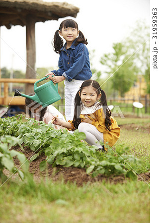水やり 子供同士 子供のみ 31959363