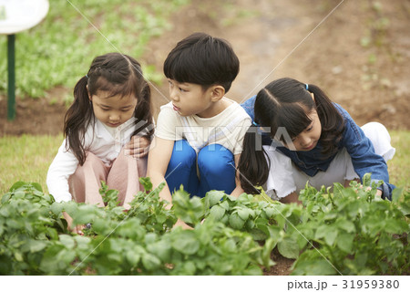 子供同士 子供のみ 子供だけ 31959380