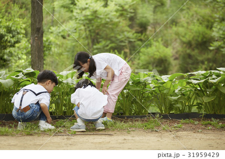 子供同士 子供のみ 子供だけ 31959429