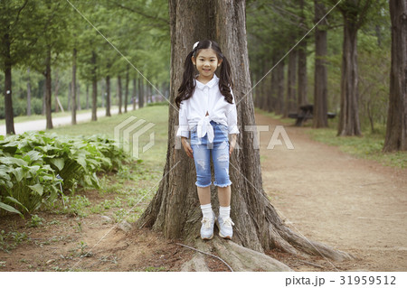 木 少女 純粋な 31959512