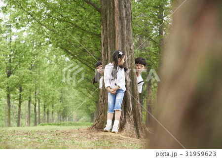 非表示 隠れ 屋外 31959623