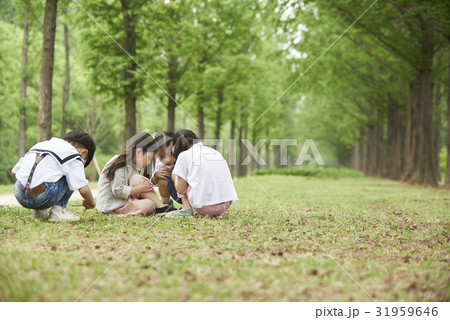 子供同士 子供のみ 子供だけ 31959646