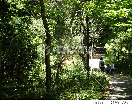 Noyamakita-Rokudoyama Park/Musashimurayama,Tokyo Noyamakita-Rokudoyama Park/Musashimurayama,Tokyo 31959727