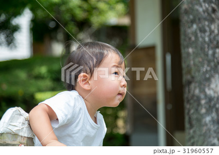 公園で遊ぶ男児 31960557